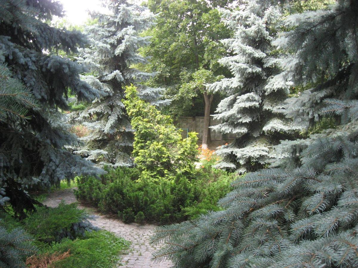 Great View Apartaments Near Lavra Kyiv Eksteriør billede